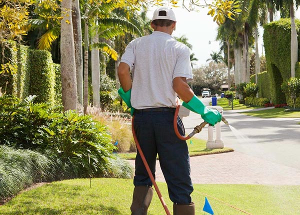 About Randlett OK Pest Control